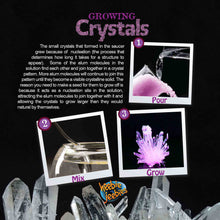 Load image into Gallery viewer, Heebie Jebbies Growing Crystals