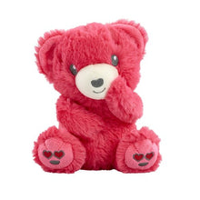 Load image into Gallery viewer, Love bear