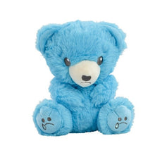 Load image into Gallery viewer, Sad bear