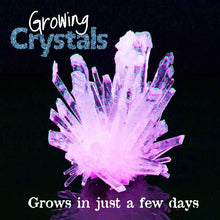 Load image into Gallery viewer, Heebie Jebbies Growing Crystals