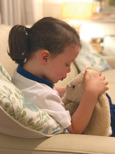 Load image into Gallery viewer, Weighted Rabbit.