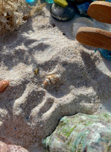 Load image into Gallery viewer, Fossick Earthfizz.