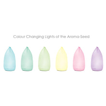 Load image into Gallery viewer, Lively Living- Aroma-seed Diffuser