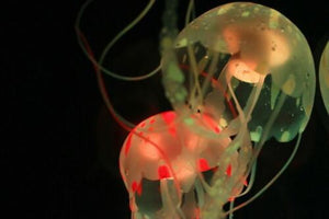 Jinx Luminous Jellyfish Lamp.