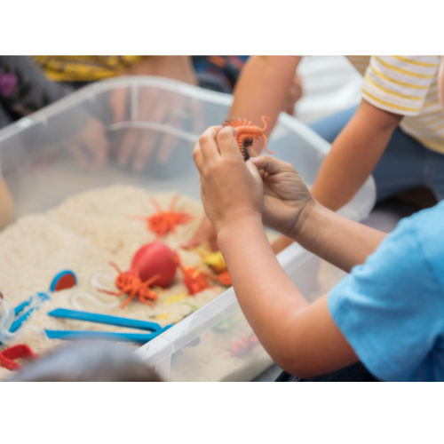 Why Sensory Items are Beneficial – Kidsnest