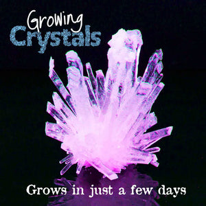 Heebie Jebbies Growing Crystals