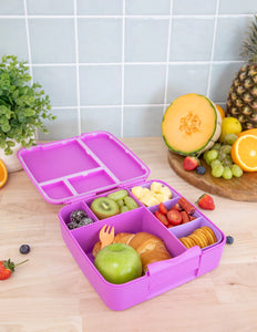 Montii Feast Lunch Box