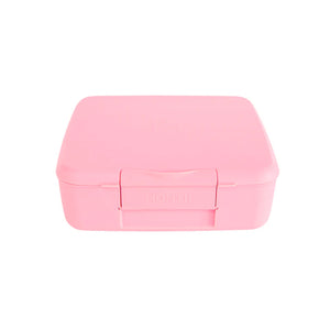 Montii Feast Lunch Box