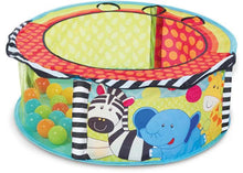 Load image into Gallery viewer, Sensory ballpit
