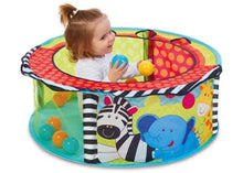 Load image into Gallery viewer, Sensory ballpit
