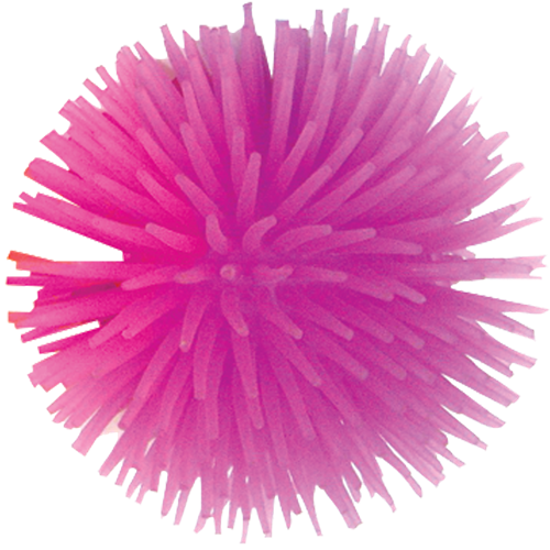 Hart Sea Anemone Small