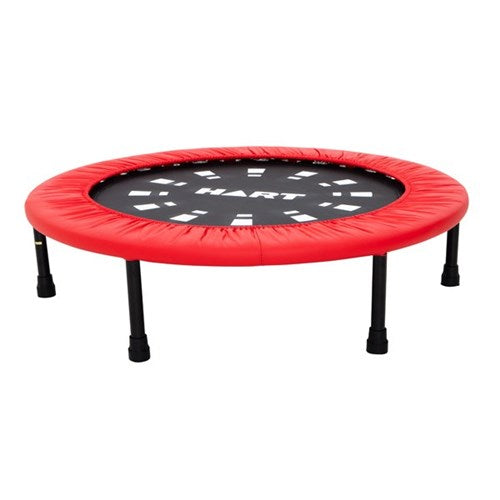 Mini Trampoline.