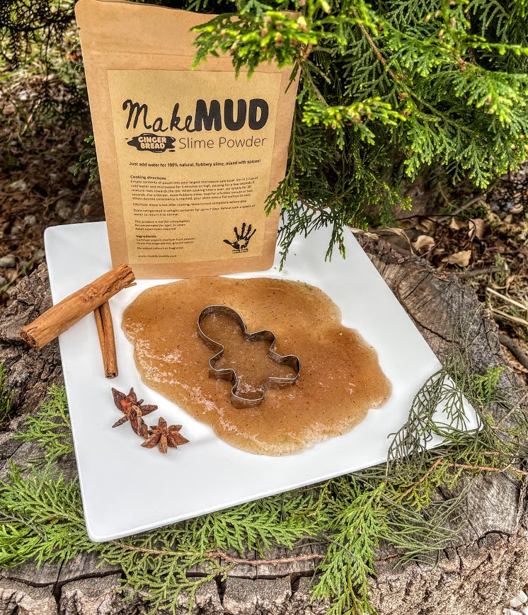 Gingerbread Slime Powder – Kidsnest