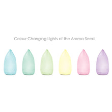 Load image into Gallery viewer, Lively Living- Aroma-seed Diffuser
